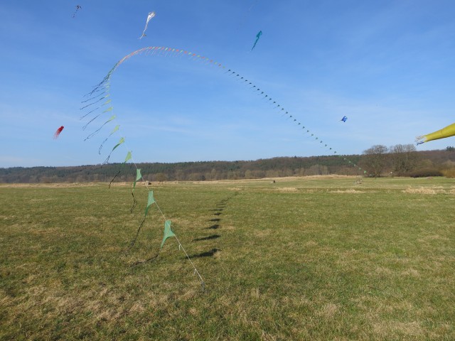 Drachen &raquo; Drachenwiese &raquo; 2014 &raquo; 09_03_2014