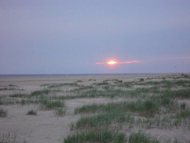 Fanoe_2013_088