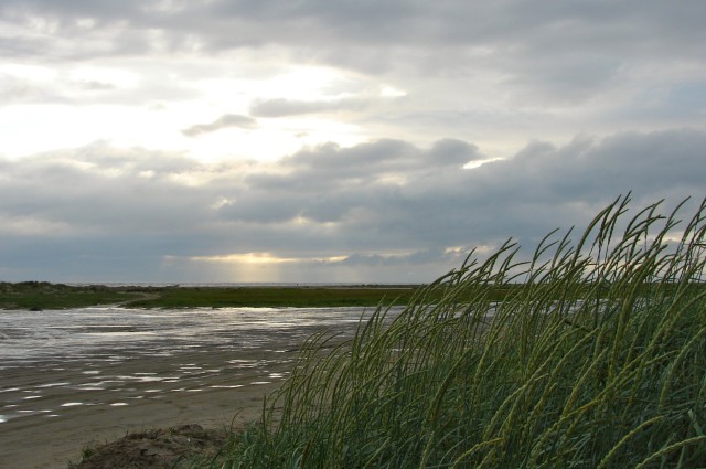 Fanoe_2013_220