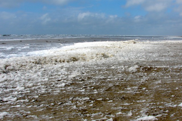 Fanoe_2013_238