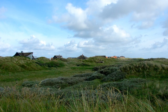Fanoe_2013_283