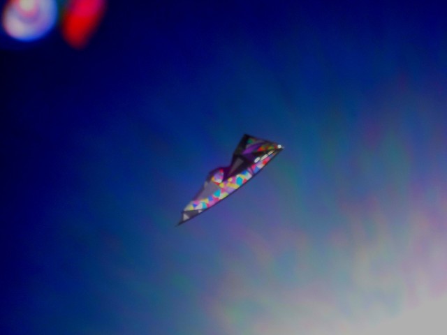 Wolsing_2013_007