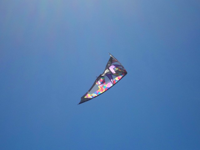 Wolsing_2013_013