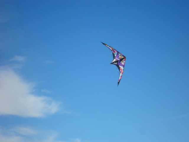 Wolsing_2013_016
