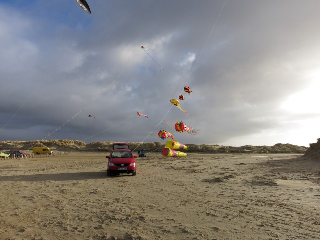 AWD_2014_013