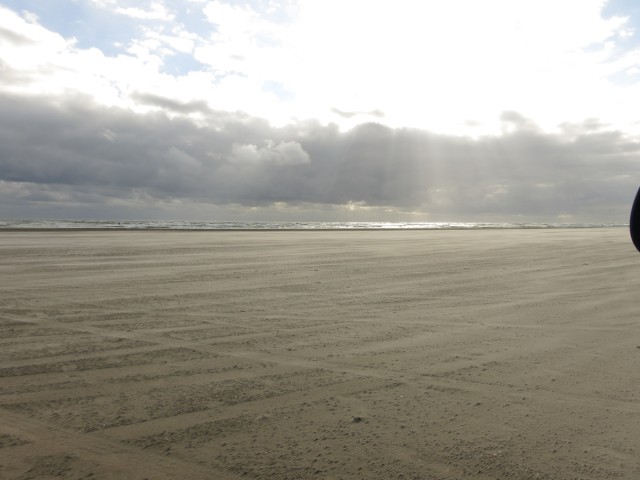 Fanoe_2014_116