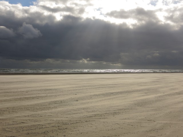 Fanoe_2014_118