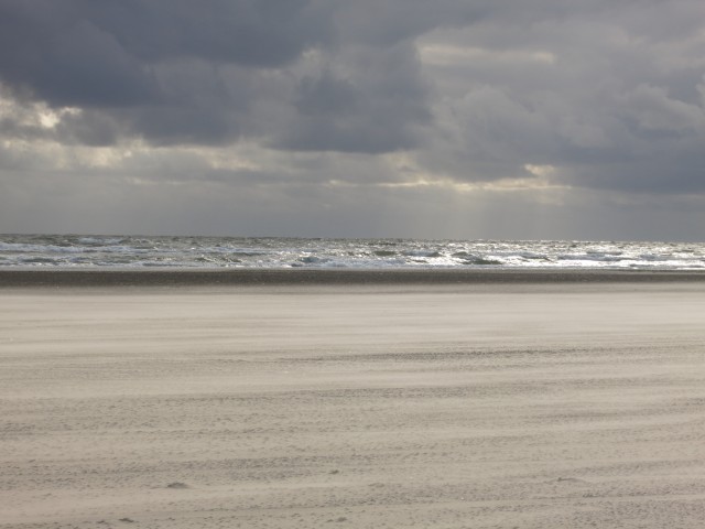 Fanoe_2014_119