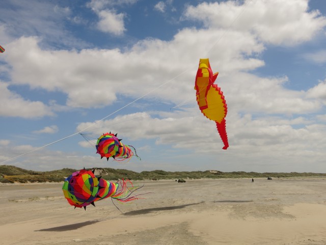 Drachen &raquo; Events &raquo; 2014 &raquo; Fanoe_14-27_06_2014 &raquo; 23-06-2014