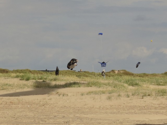 Fanoe_2014_221