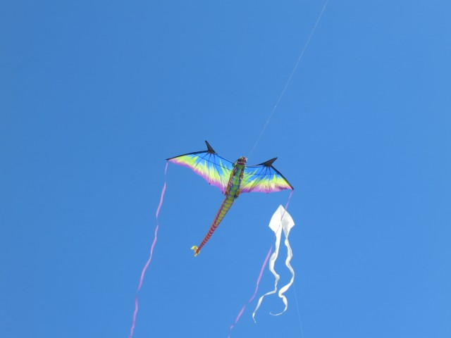 Drachen &raquo; Events &raquo; 2014 &raquo; Fanoe_14-27_06_2014 &raquo; 25-06-2014