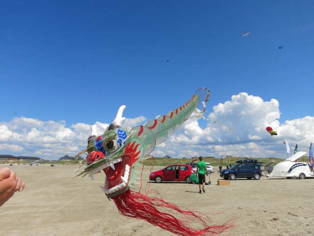 Fanoe_2014_246