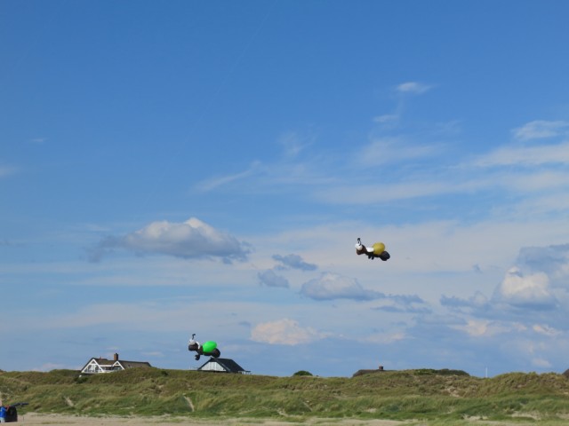 Fanoe_2014_273