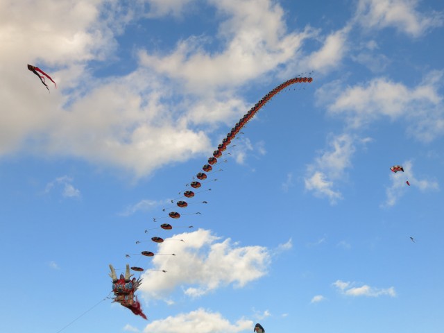 Rattey_2014_026