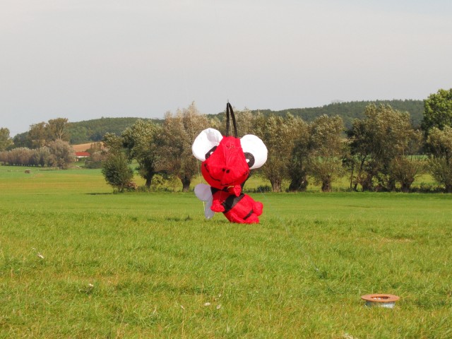Rattey_2014_079