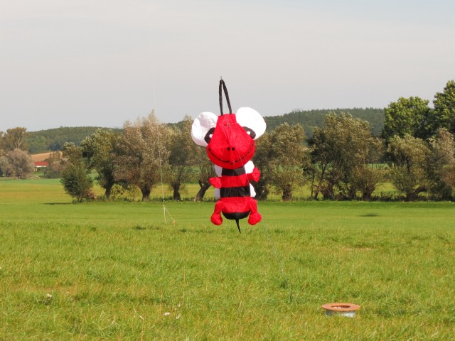 Rattey_2014_080