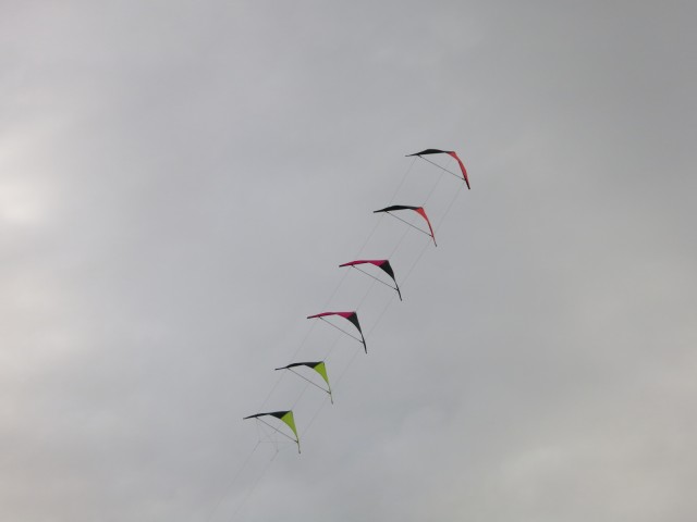 Roemoe_2014_029