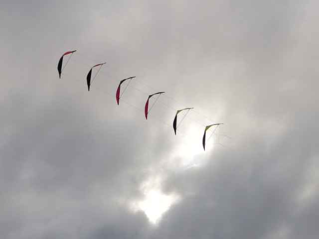 Roemoe_2014_031