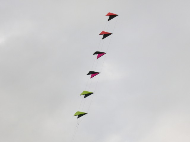 Roemoe_2014_043