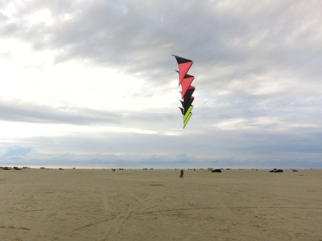 Roemoe_2014_045