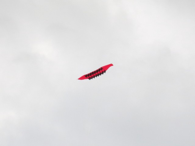Roemoe_2014_047
