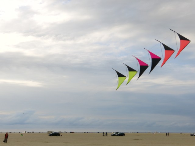 Roemoe_2014_050