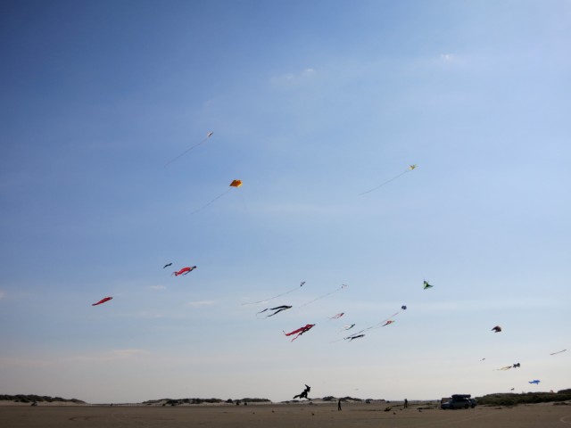 Roemoe_2014_133