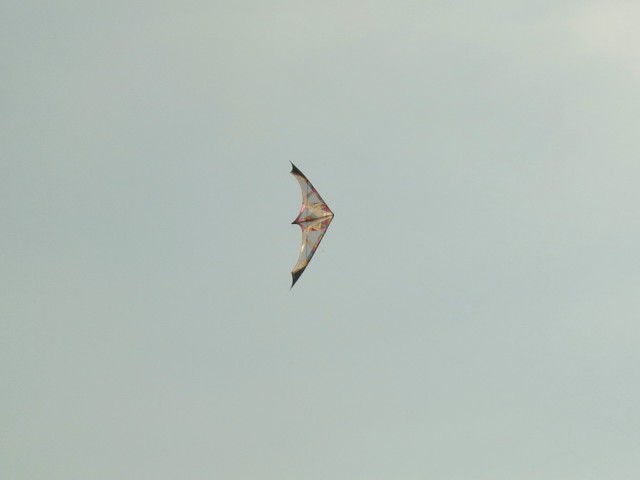 Roemoe_2014_156