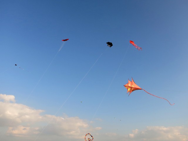 Roemoe_2014_166