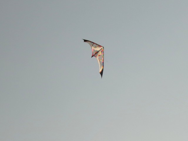 Roemoe_2014_169