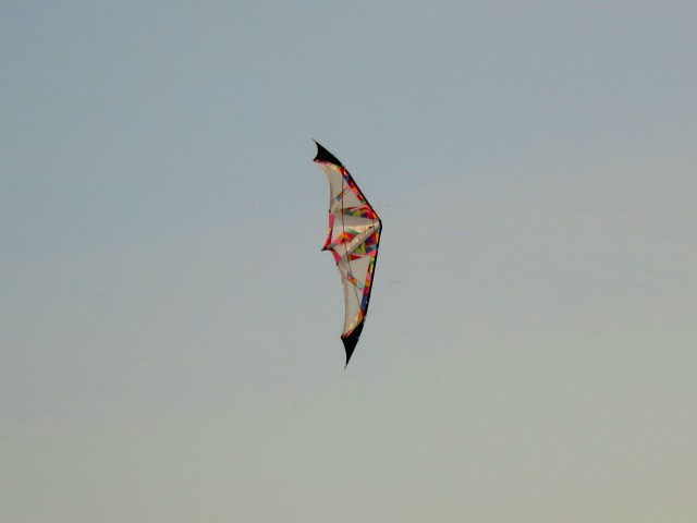 Roemoe_2014_171