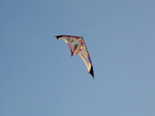 Roemoe_2014_172