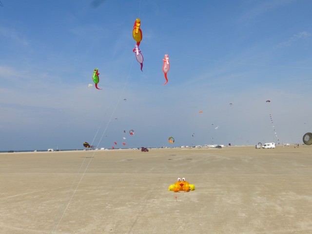 Roemoe_2017_095