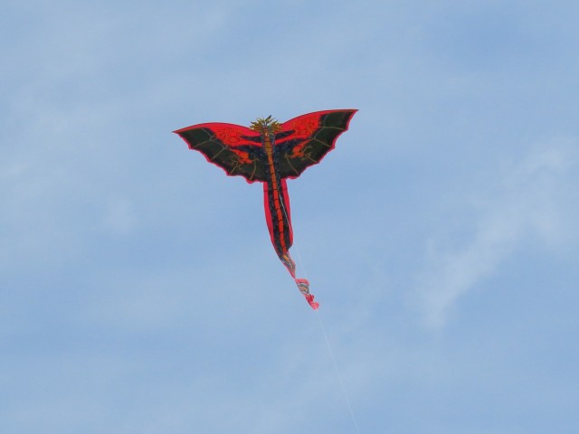 Bali-Drache002