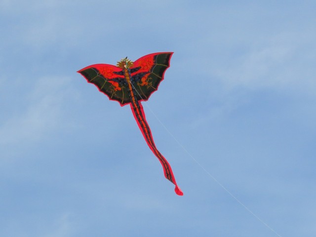 Bali-Drache004