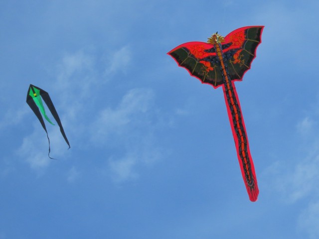 Bali-Drache005