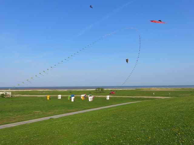 Eddybogen_Schillig_002