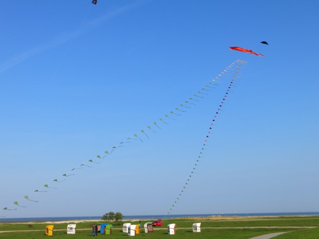 Eddybogen_Schillig_003