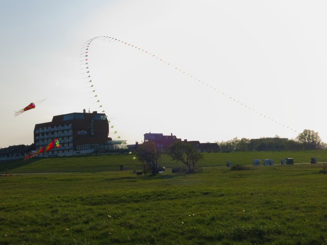 Eddybogen_Schillig_009