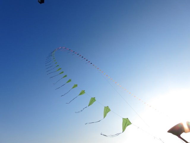 Eddybogen_Schillig_010