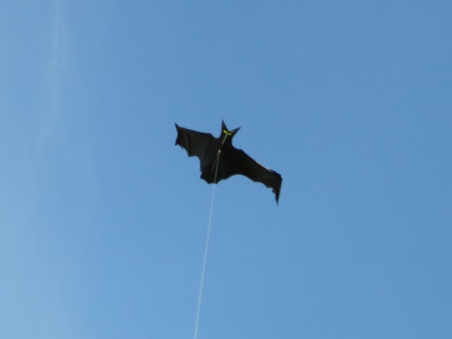 Flapping_Bat_002