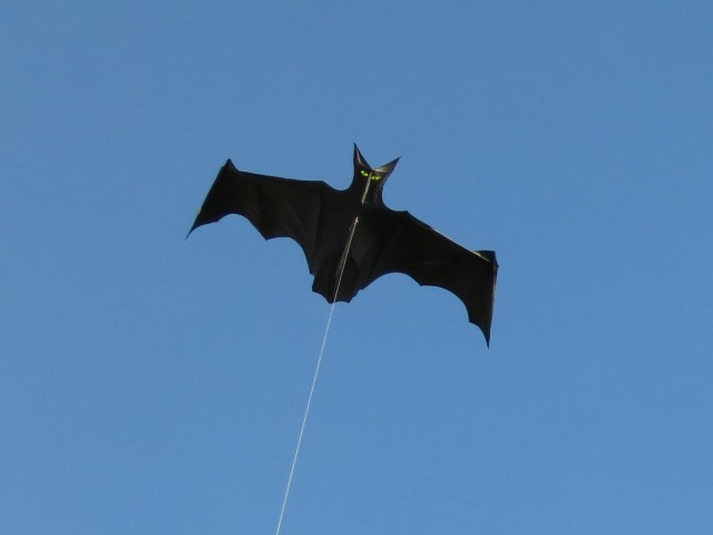 Flapping_Bat_004