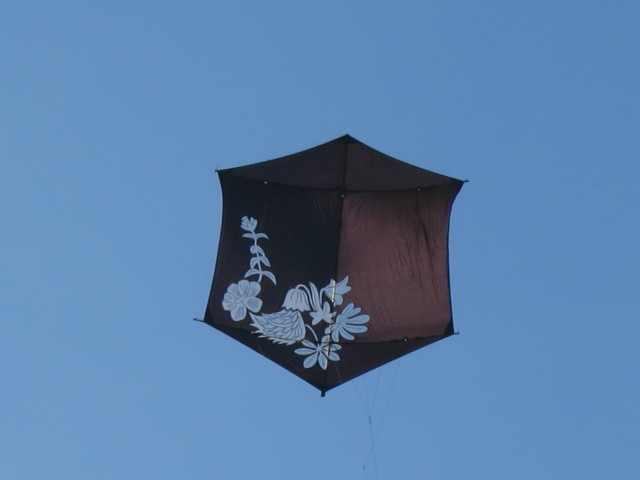 Rokkaku_Artlenburg003