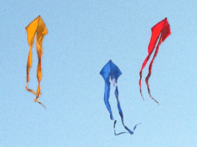 Schleierdelta_009