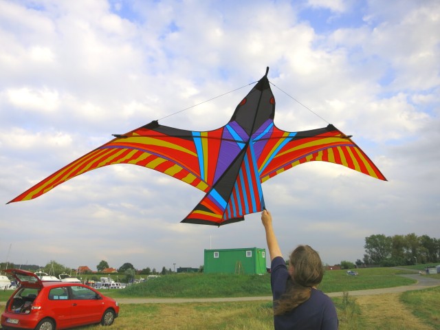Drachen &raquo; meine_drachen &raquo; Einleiner &raquo; skybird