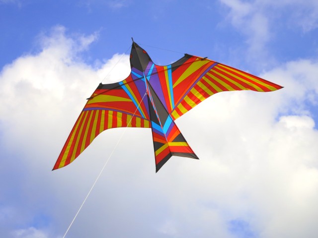 Skybird002