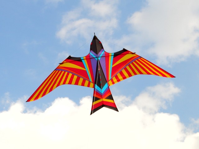 Skybird003