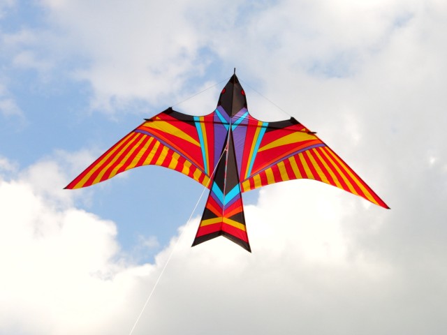 Skybird004