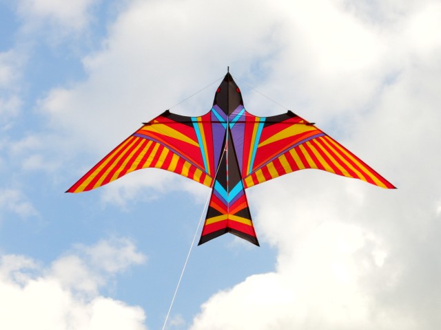 Skybird005