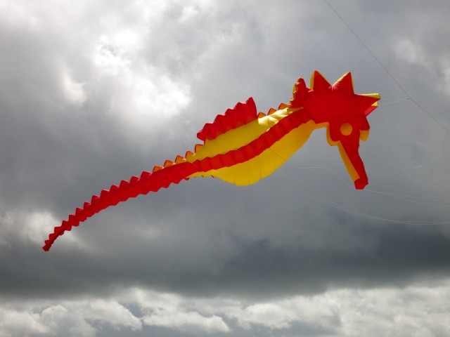 seepferdchen_fanoe_007